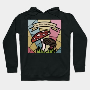 Pride Month 2021 (Pan Flag) Hoodie